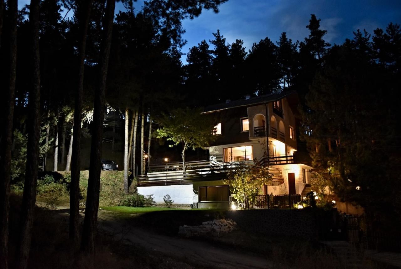 Виллы Spa Villa Galileev Велинград-30