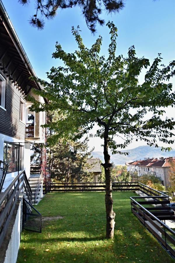 Виллы Spa Villa Galileev Велинград-8