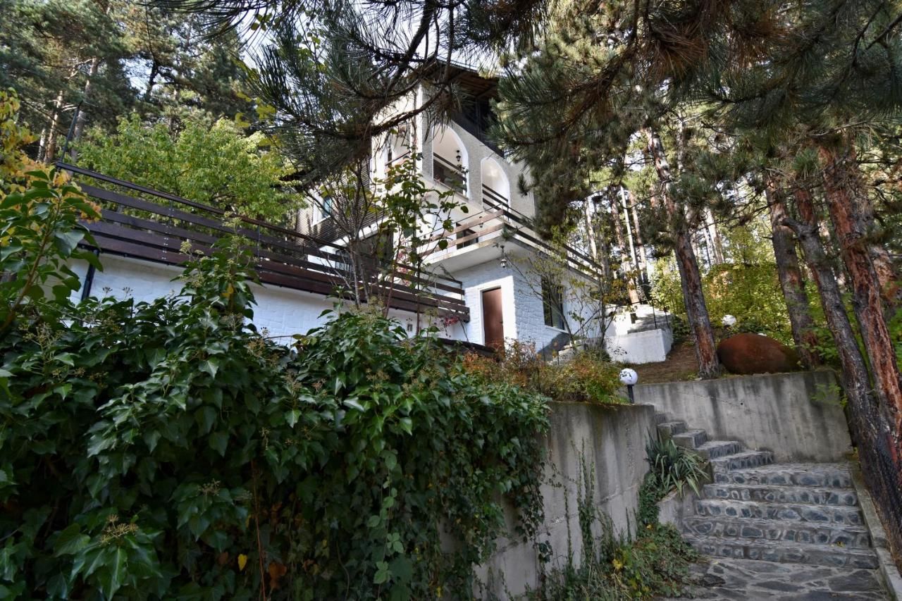 Виллы Spa Villa Galileev Велинград-10