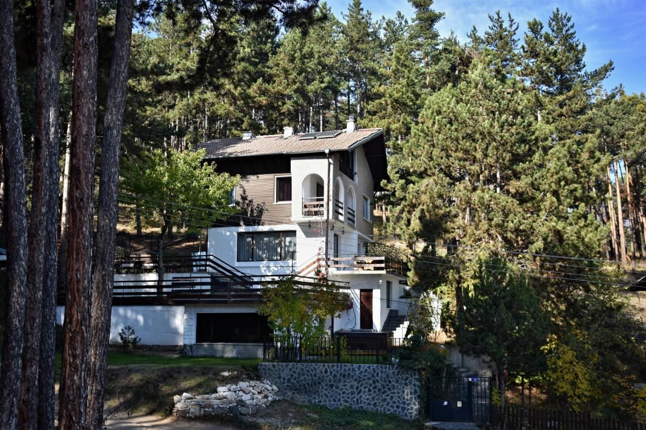 Виллы Spa Villa Galileev Велинград-11